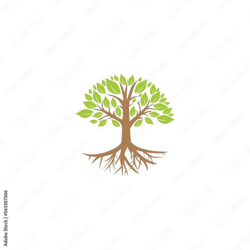 Obraz premium Tree icon concept. Tree root design illustration isolated on white background
