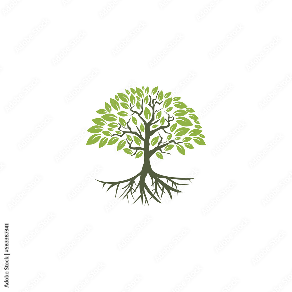 Obraz premium Tree icon concept. Tree root design illustration isolated on white background
