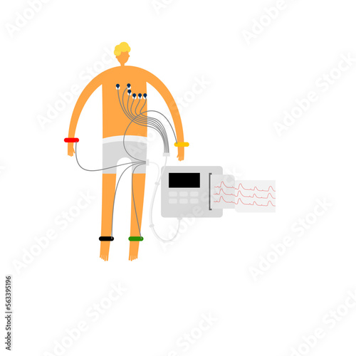 Illustration of 12 lead electrocardiography recordings on isolated background.