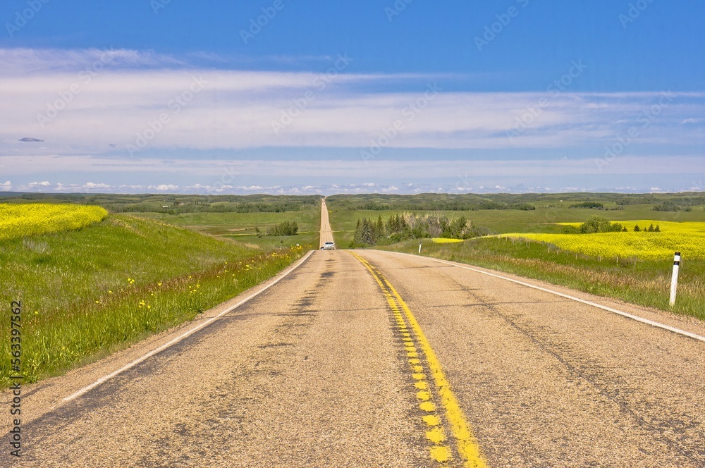 Naklejka premium Prairie highway in Alberta, Canada