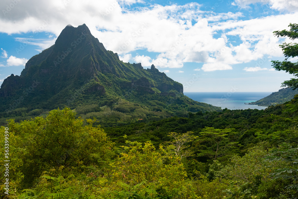 Fototapeta premium Belvédère de Moorea, French Polynesia
