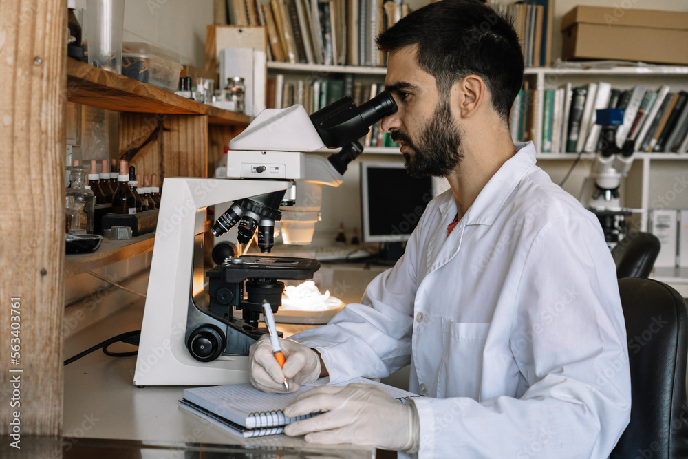 Male scientist looking under microscope, analyzes sample in petri dish. Male scientist looking under microscope, analyzes sample in petri dish.