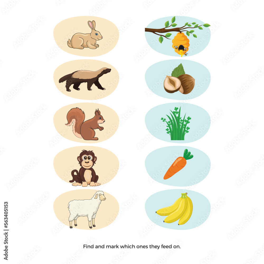 What animal is fed what activity for children who receive preschool education. Vector design.