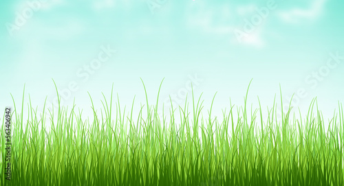 Spring nature background with green grass field, Template banner for Easter, Spring. Summer concept.