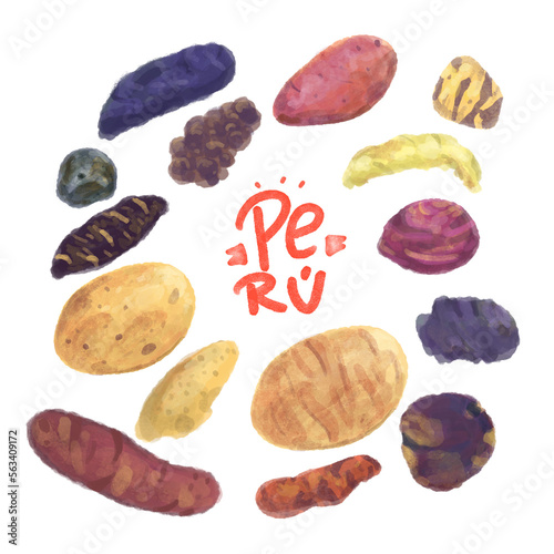 Ilustración de papas nativas del Perú, típico peruano, papa nacional peruana, con lettering Perú