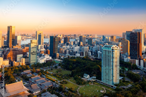 The skyline and cityscape at sunset in Tokyo, Japan