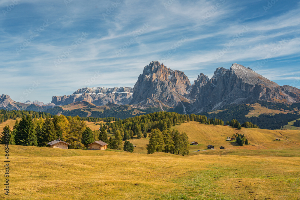 Autumn landscapes of the meadow in Alpe di Siusi, Dolomites, Italy