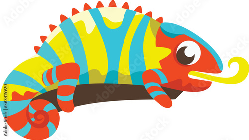 colorful panther chameleon