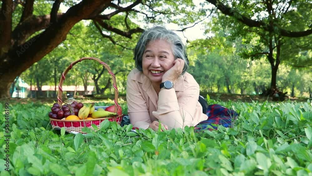 Retired elderly woman with joyful heart : Elderly Asian woman millennial travel resting with fruit basket in the park enjoying the trees lying on the mats on the shady lawn suitable for relaxation. Retired elderly woman with joyful heart : Elderly Asian woman millennial travel resting with fruit basket in the park enjoying the trees lying on the mats on the shady lawn suitable for relaxation.