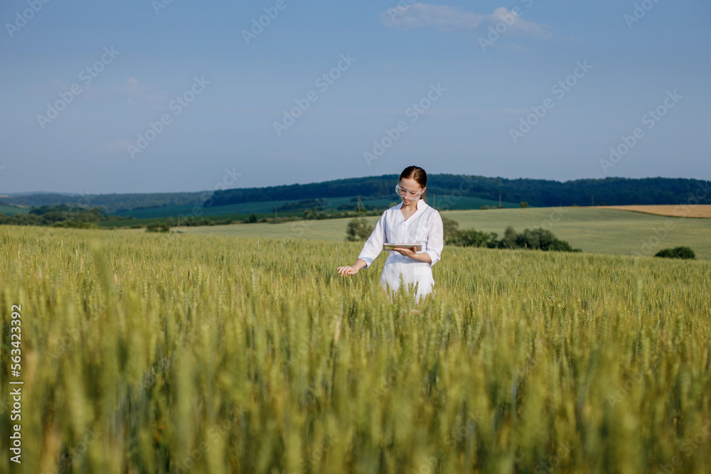 Scientist technologist in a white coat on a young wheat field writes down data on this year's crop on a smart tablet Scientist technologist in a white coat on a young wheat field writes down data on this year's crop on a smart tablet