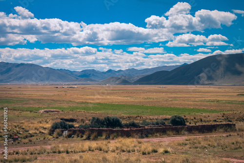 Fototapeta Naklejka Na Ścianę i Meble -  altiplano landscape in dry season, puno, peru
