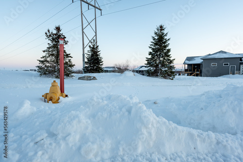 Fire hydrant with a locator protruding from a snow back along a residential street. 