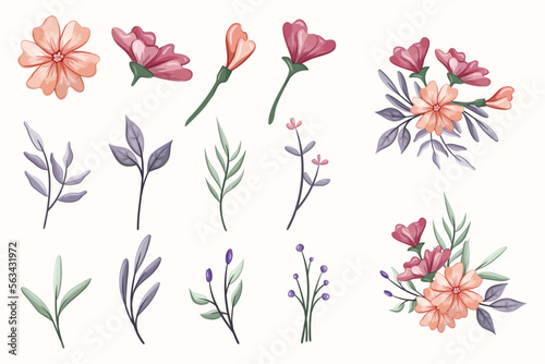 Set botanic blossom floral elements. Branches, leaves, herbs, wild plants, flowers. Garden, meadow, field collection leaf, foliage, branches. Bloom vector illustration isolated on white background