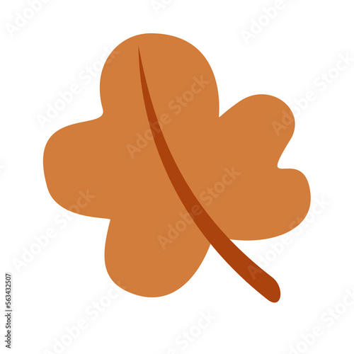  fall leaf, autumn, maple leaf, thanksgiving, dry leaves