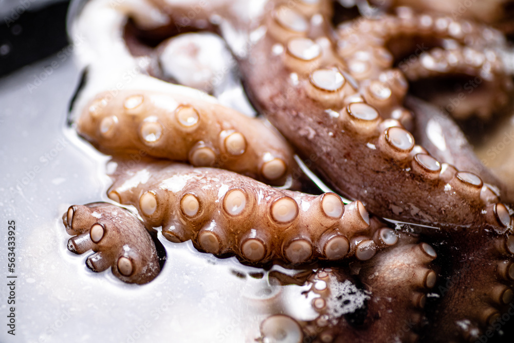 The tentacles of the octopus are boiled in water. The tentacles of the octopus are boiled in water.