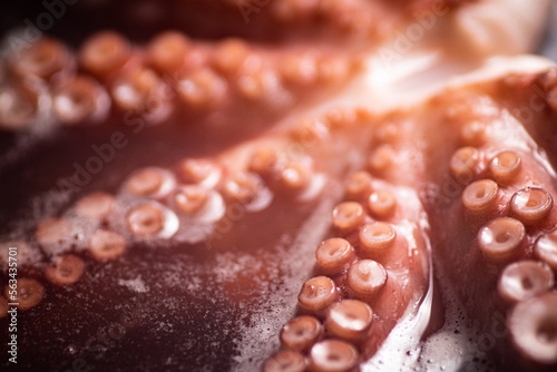 The tentacles of the octopus are boiled in water.