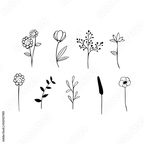 Black line doodle long stem flowers on white background. Vector illustration about nature. photo