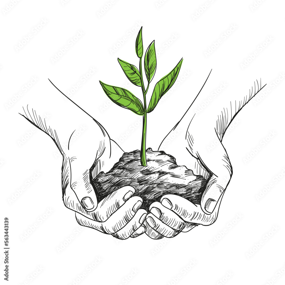 Hand drawn illustration of young plant with ground in hands. Palms holding a sprout in sketch style. Vector illustration isolated on white.