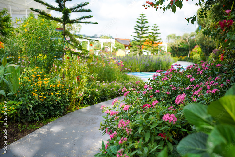 Colorful garden with path way