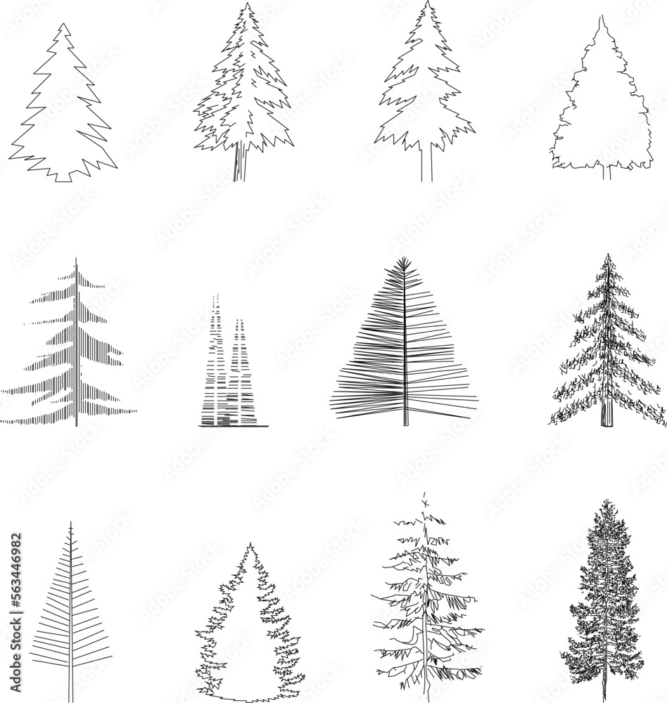 Obraz premium sketch vector illustration of a spruce tree silhouette front view in full black and white