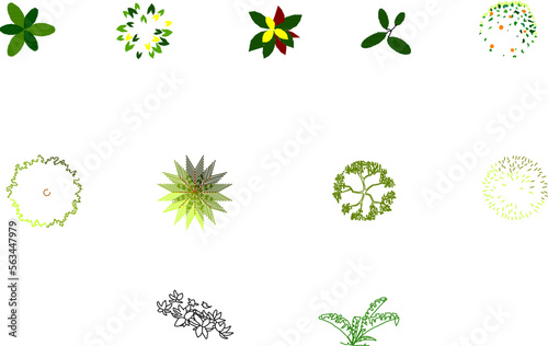 sketch vector illustration of colored top view plant symbol icon