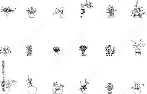 vector sketch illustration of a flower plant silhouette in a pot front view