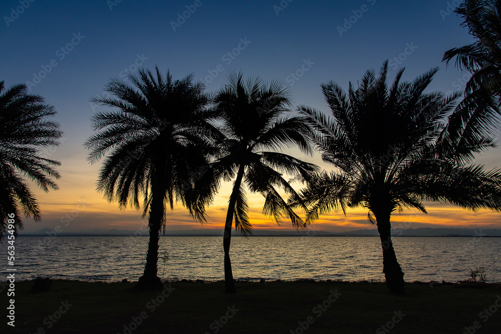 Beautiful view with palm trees at sunrise by the reservoir.Pitch a tent by the dam, Saraburi province, Thailand.