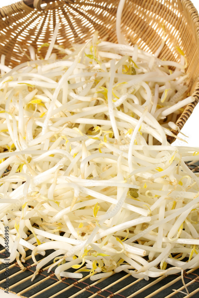 Mung bean sprouts Mung bean sprouts