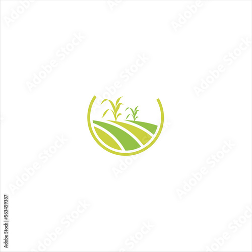 Agriculture logo design, agronomy, wheat farm, rural country farming field, natural harvest vector.