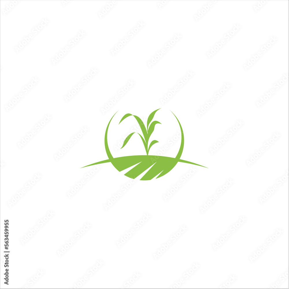 Agriculture logo design, agronomy, wheat farm, rural country farming field, natural harvest vector.