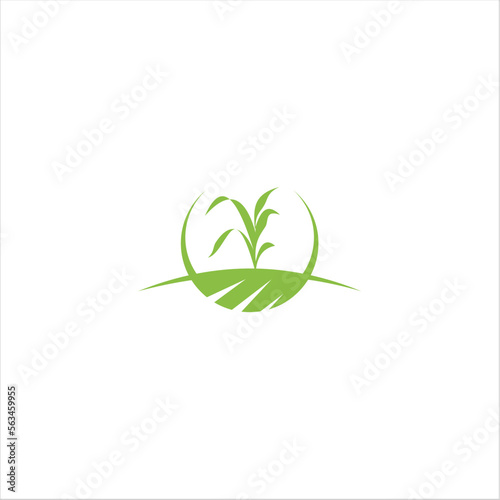 Obraz na płótnie Agriculture logo design, agronomy, wheat farm, rural country farming field, natural harvest vector. w salonie