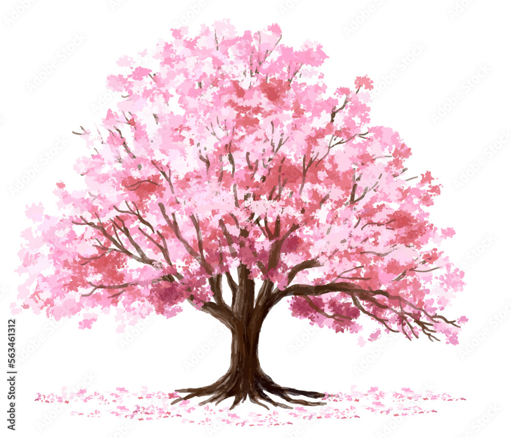 Vector watercolor blooming Sakura tree side view isolated on white background for landscape and architecture drawing, elements for environment and garden,botanical elements for section in spring 