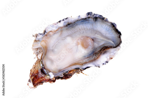 Fresh opened oyster on white background