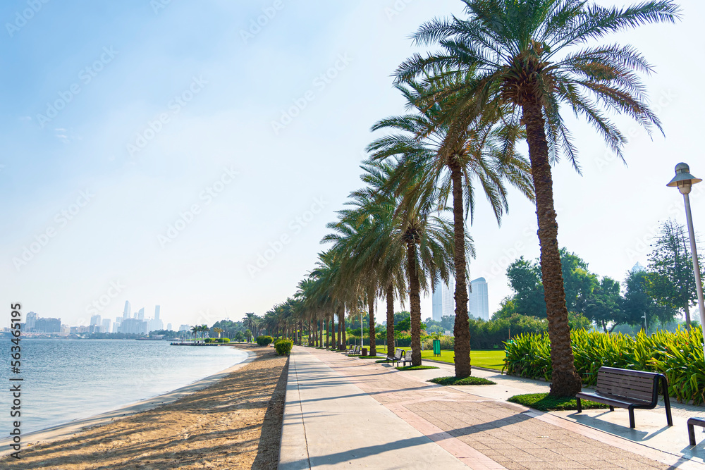 beautiful sandy beach with sand in city park on the background of the sea and the bridge. Dubai, UAE