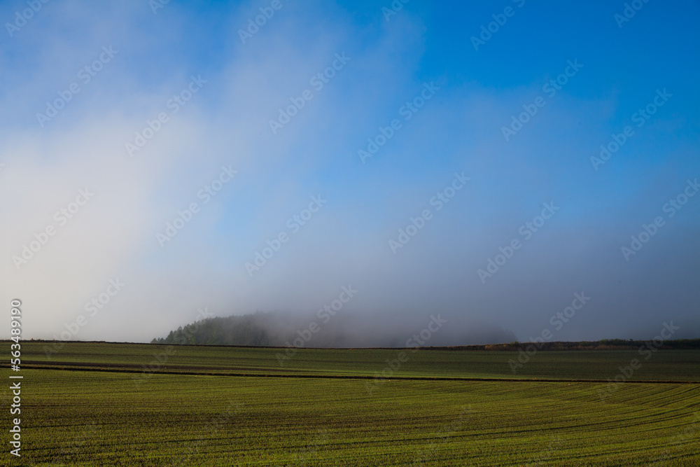 Autumn field smoldering in the morning mist Autumn field smoldering in the morning mist