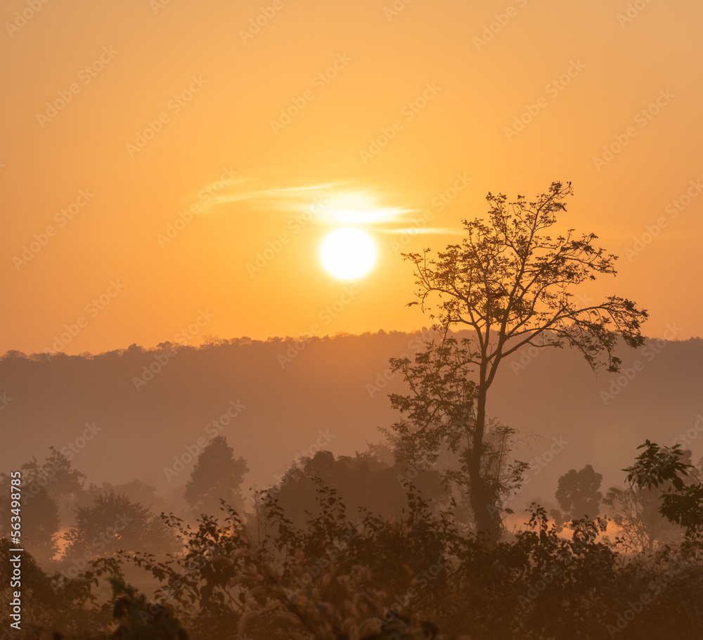 Fototapeta premium Sunrise in the Cambodian countryside