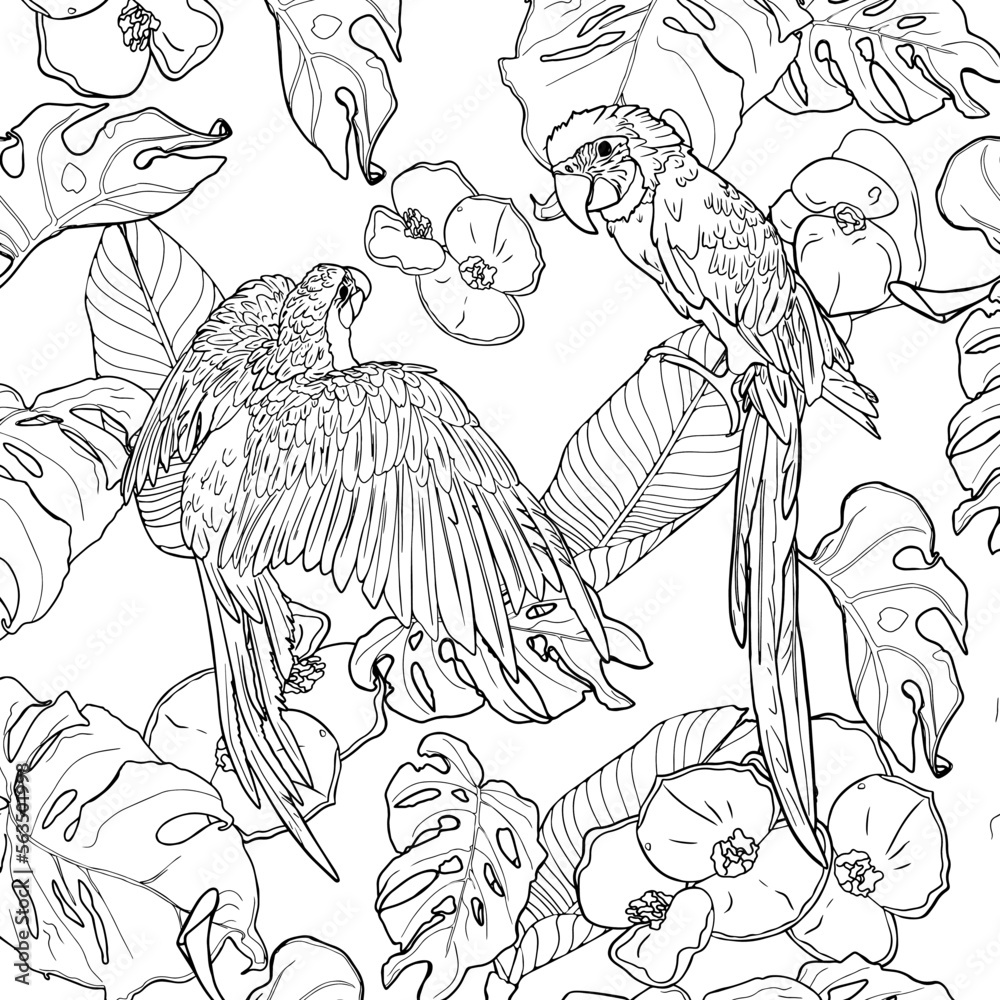 Tropical wild birds and plants. Tropical garden collection. Coloring ...