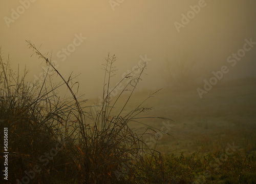 sunrise and fog in a rural area.