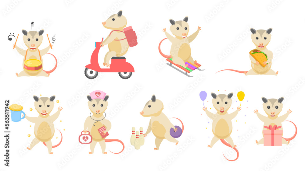 Big Set Abstract Collection Flat Cartoon Different Animal Opossums Vector Design Style Elements Fauna Wildlife