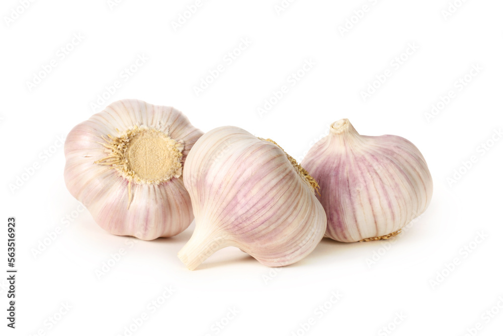garlic isolated on white garlic isolated on white