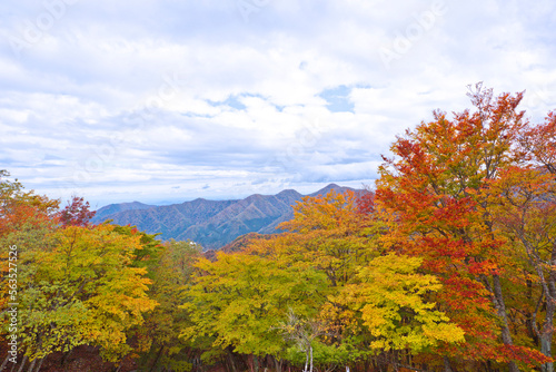 Lake Chuzenji and  Mt. Nantai in Autumn.