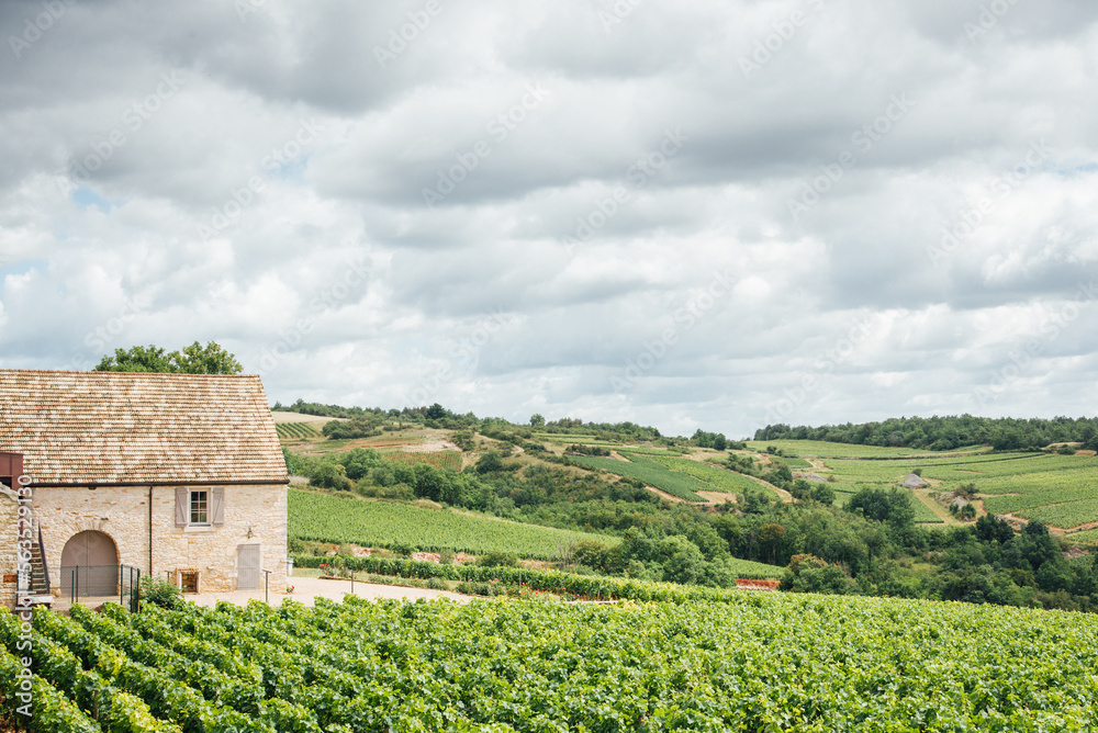 vue panoramique d'un domaine viticole en Bourgogne. Une maison et des vignes en Côte-d'Or.