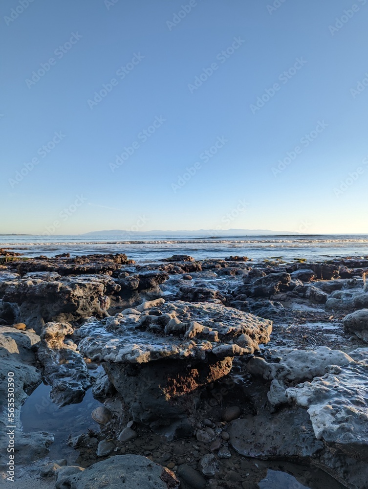 Obraz premium Reef tide pools at New Brighton State Beach, California, coastal rocks, pacific coast tide pools