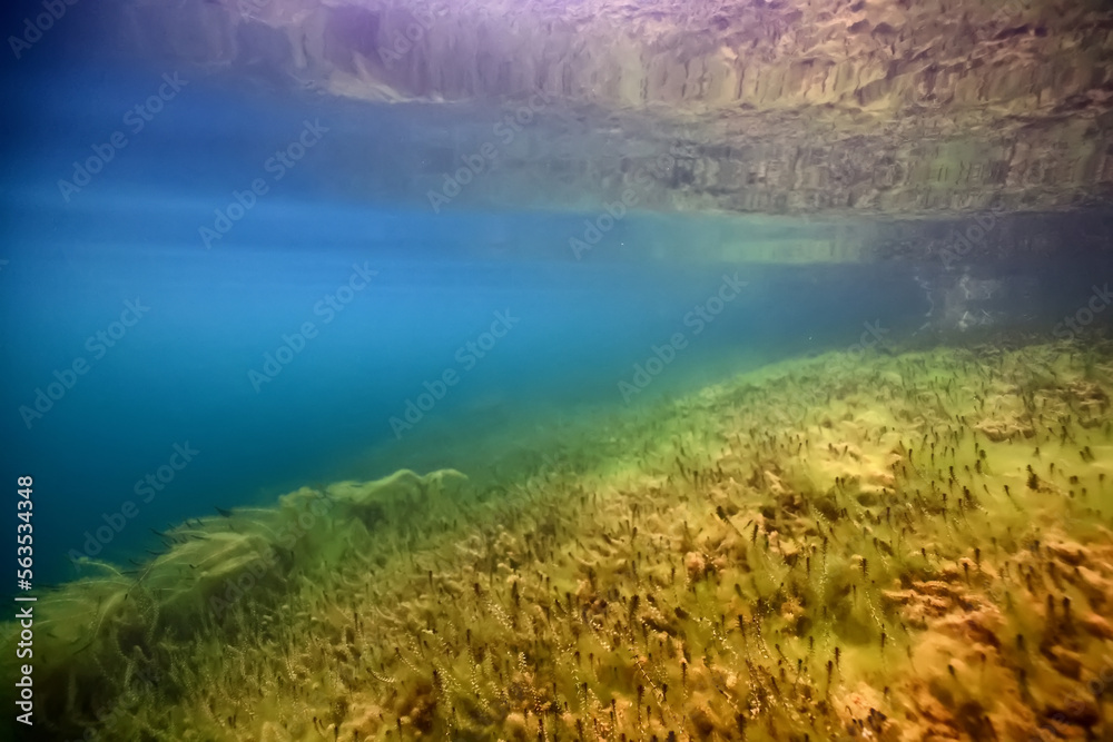 Fototapeta premium panorama coral reef underwater landscape seascape