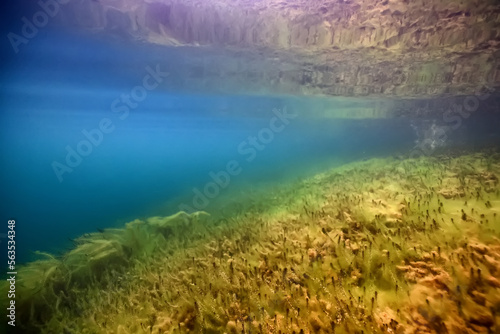 Wallpaper Mural panorama coral reef underwater landscape seascape Torontodigital.ca