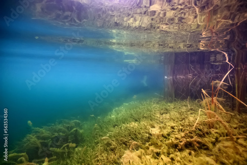 clear water lake underwater, wallpaper swamp, fresh water river