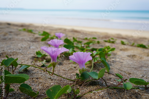 Colourful day on the beach