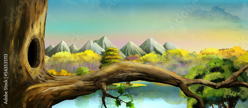 A hollow in a tree illustration