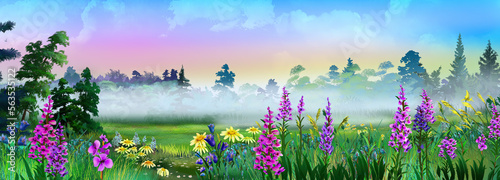 Morning fog over a flowering meadow