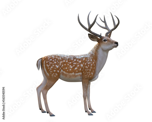 Canvastavla 3d render  deer faun winter creature
